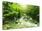 Wall painting TREES Discount 60 % 150X100 cm